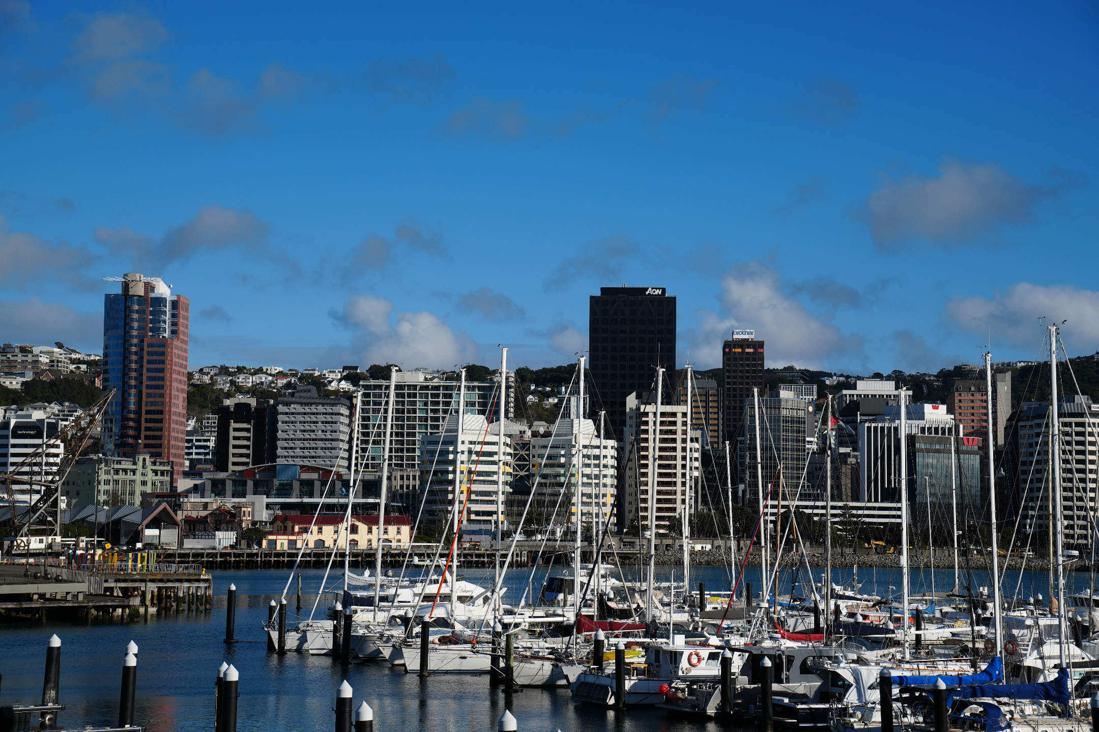 wellington city's skyline daytime wellington city's skyline daytime