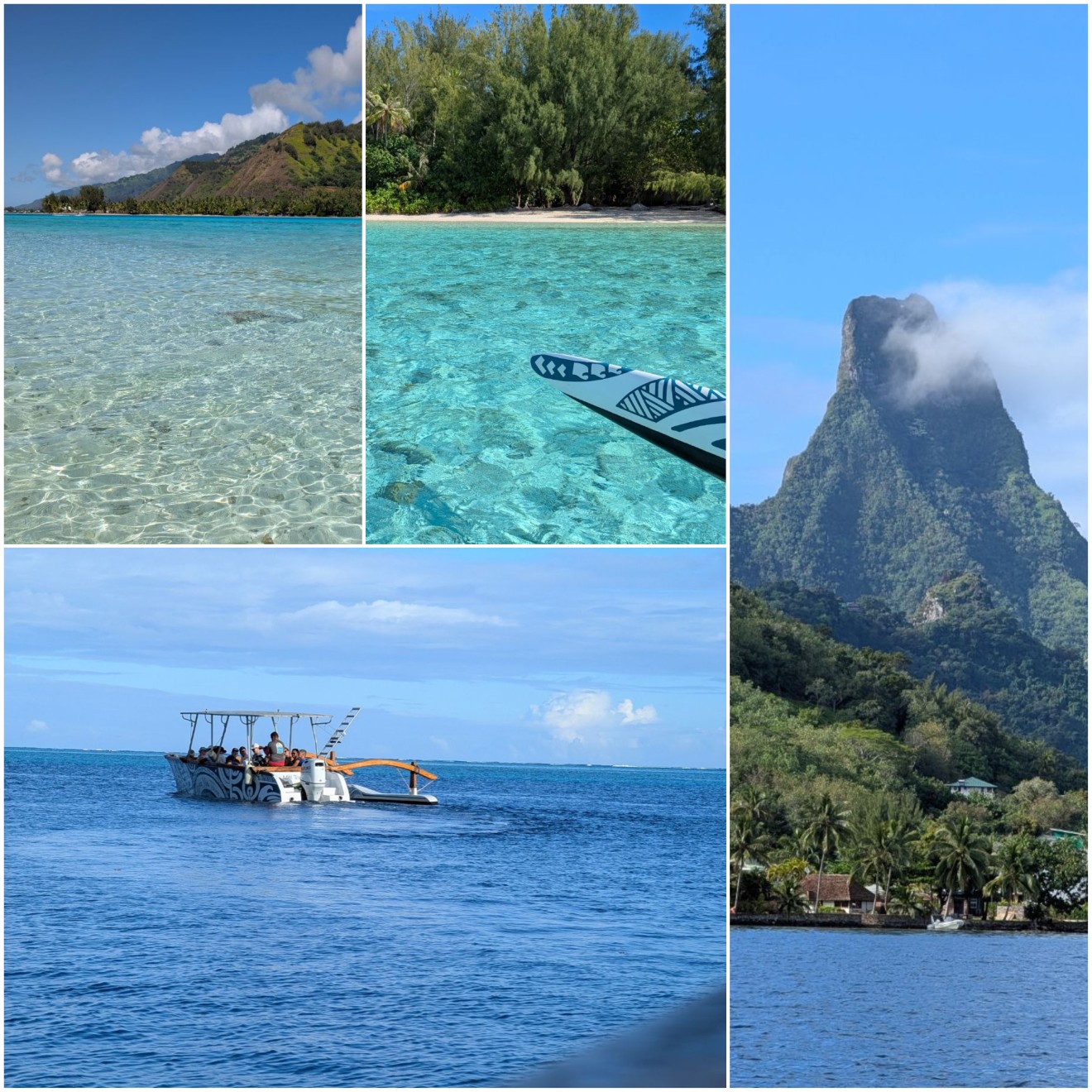 moorea miti tours boat and views moorea miti tours boat and views