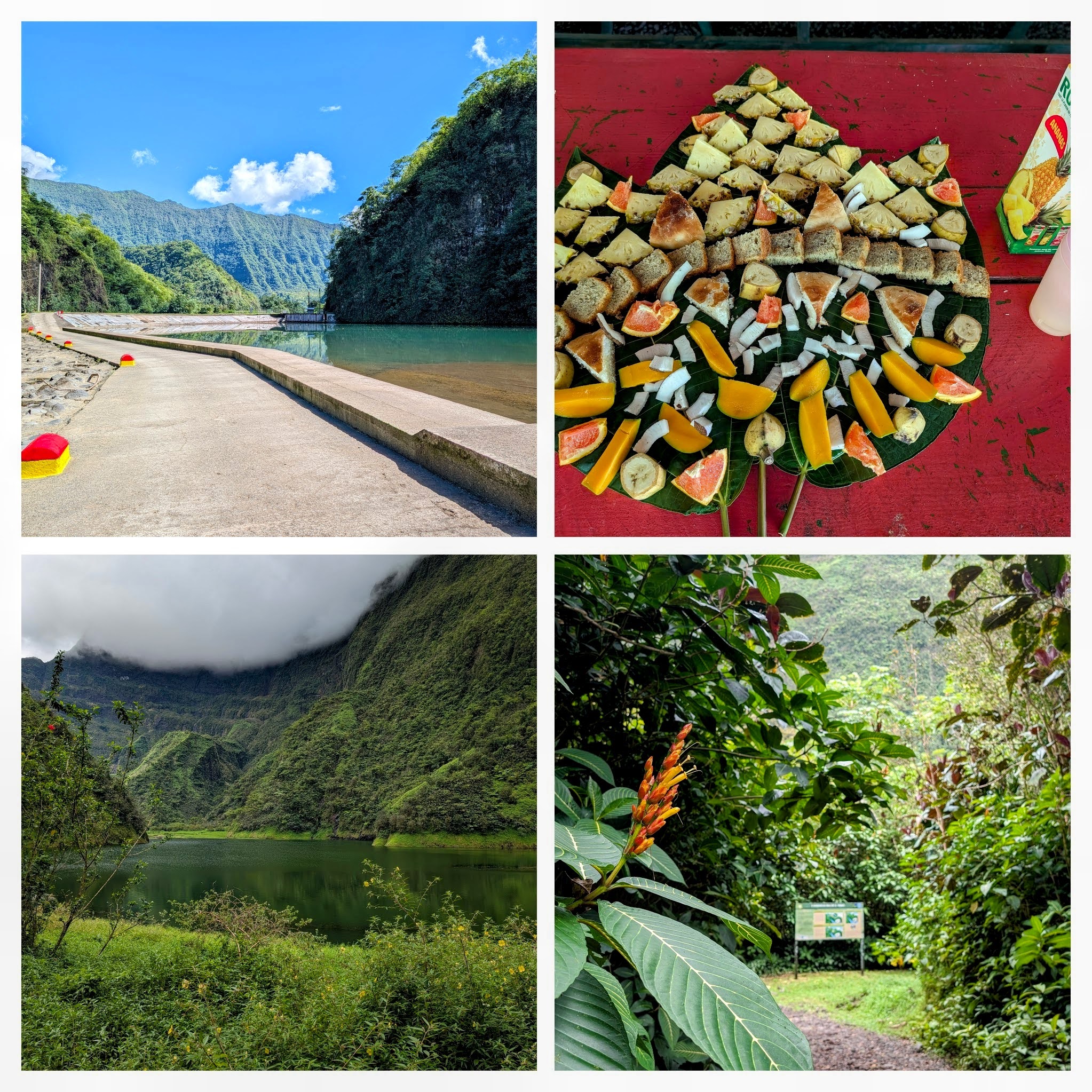 Collage of the inner parts of Tahiti Collage of the inner parts of Tahiti